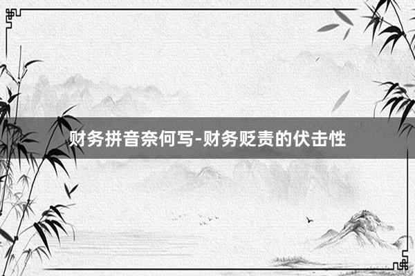 财务拼音奈何写-财务贬责的伏击性